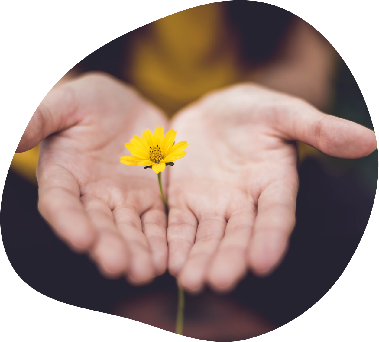 Illustration : Donnez, l'esprit tranquille